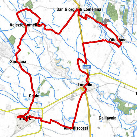 San Rocco - San MIchele - Chiesa parrocchiale di San Marziano Vescovo e Martire - San Giorgio di Lomellina