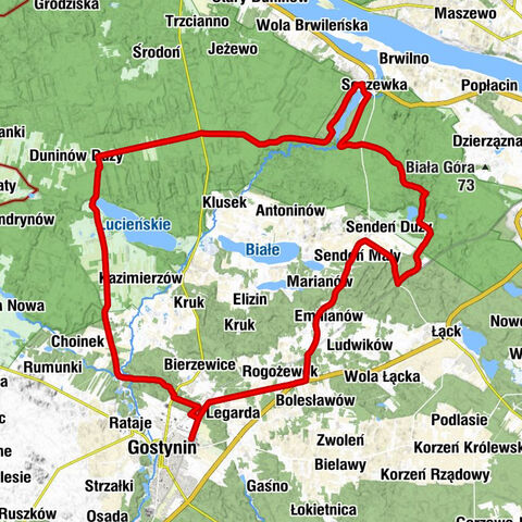 Gostynin - Ziejka - Choinek-Leśniczówka