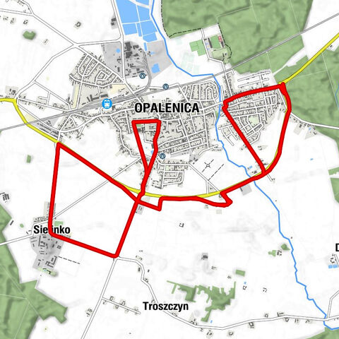 powiat nowotomyski - Sielinko - Opalenica