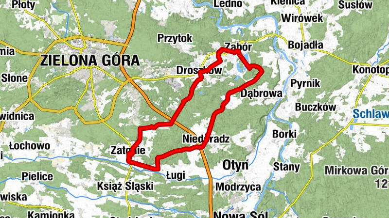 Zatonie - Kościół św. Józefa - Kościół pw. NMP Królowej Polski, - Kościół pw. Świętego Marcina