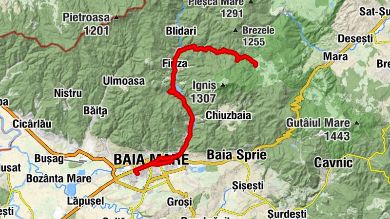 Baia Mare - Biserica Sfânta Elisabeta - Biserica Ortodoxă Ferneziu - Biserica Penticostală Ferneziu