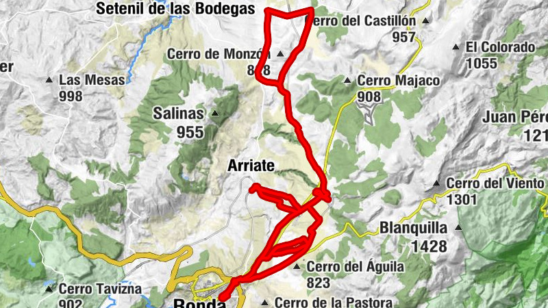Arriate - Puerto del Monte - Venta La Codorniz - La Fragua