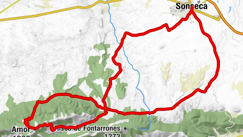 Sonseca - Solana de las Piletas - Amor - Arisgotas