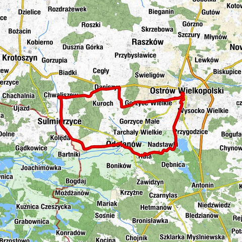 Ostrów Wielkopolski - Kościół pw. świętego Michała - Kościół pw. Wniebowzięcia NMP - Kościół pw. Podwyższenia Krzyża Świętego
