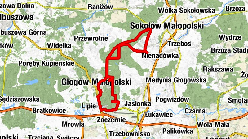 Nienadówka Górna - Kaplica pw. Błogosławionego Jana Balickiego - Piast - Kościół pw. Matki Boskiej Częstochowskiej