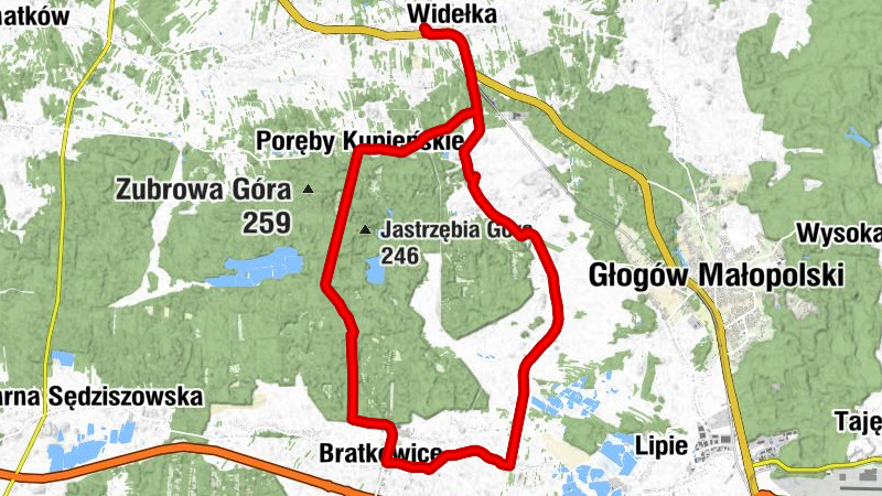 Wielka Widełka - Kościół pw. Niepokalanego Serca NMP - Kościół pw. św. Jana Chrzciciela - Widełka