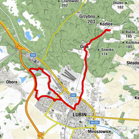 Koźlice - Gola - Lubin - Szyszka Chmielu