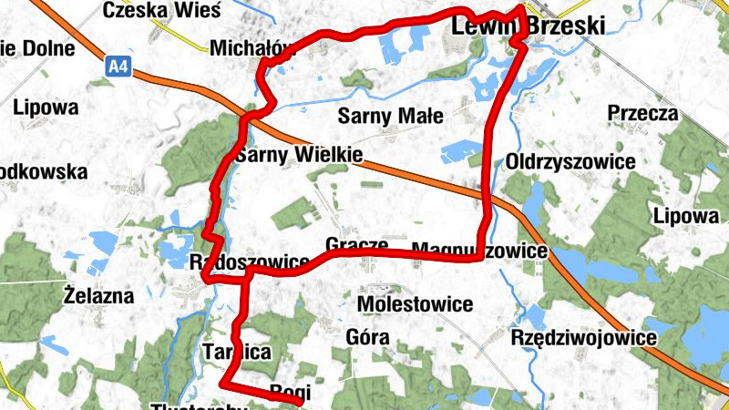 Rogi - Kościół parafialny pw. Narodzenia Najświętszej Maryi Panny - Kościół Ewangelicki Apostołów Piotra i Pawła - Kościół parafialny pw. Trójcy Świętej