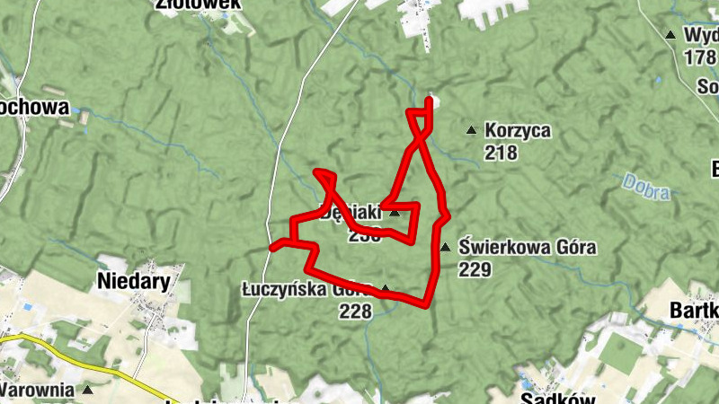 Łuczyna - Łuczyńska Góra - Zielony Szczyt - Dębiaki