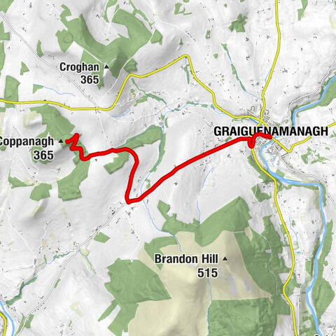 Graiguenamanagh
