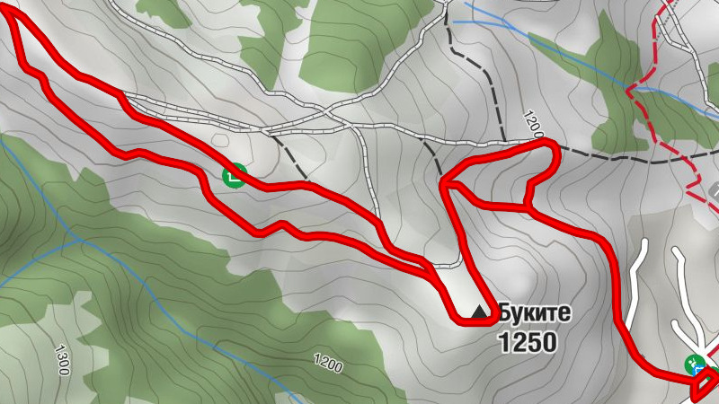 м. Цареви кошари - Буките