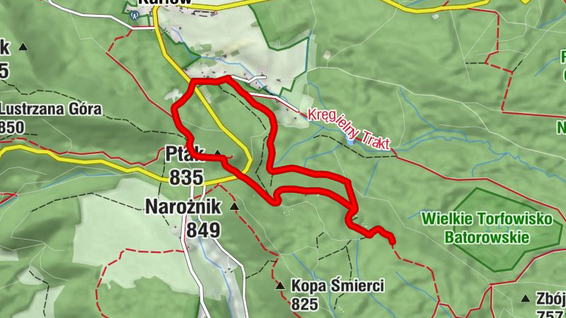 Karłów - Ptak