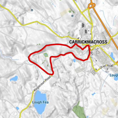 Carrickmacross - St. Finbarr's Church