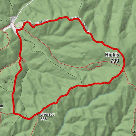 Târnava - Highiș - Livorscu - Conop