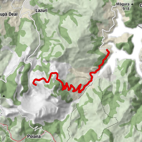Biserica Sfântul Andrei - Geamăna - Trifești - Valea Holhorii