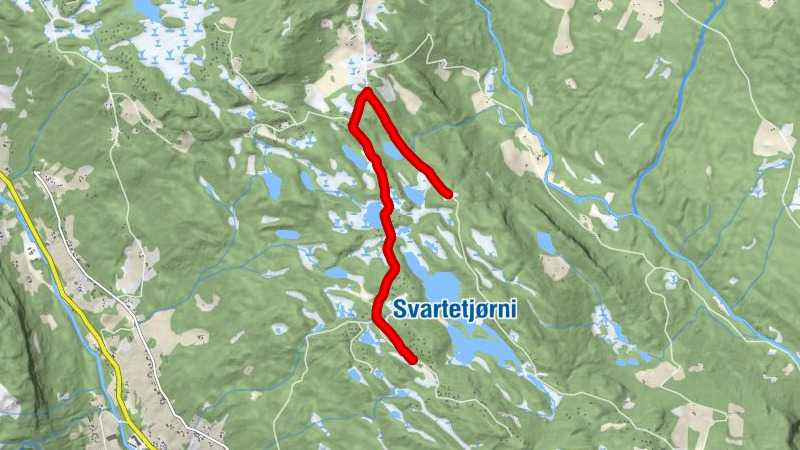 Ål - Skrindehaugen
