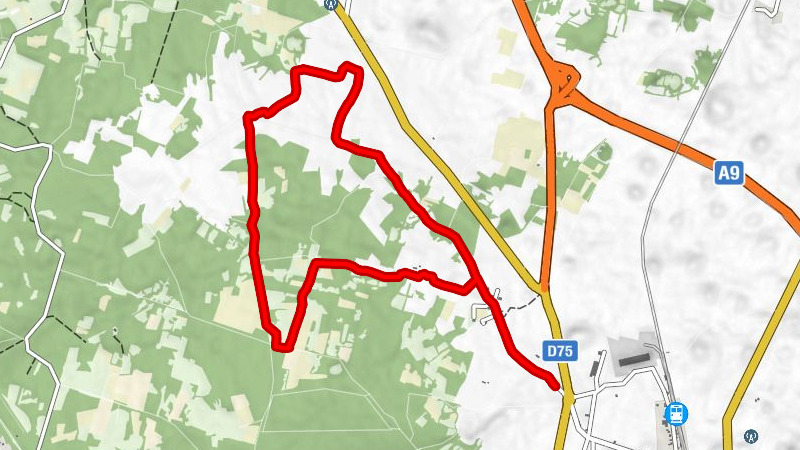Vodnjan - Šalvela - Sveti Toma