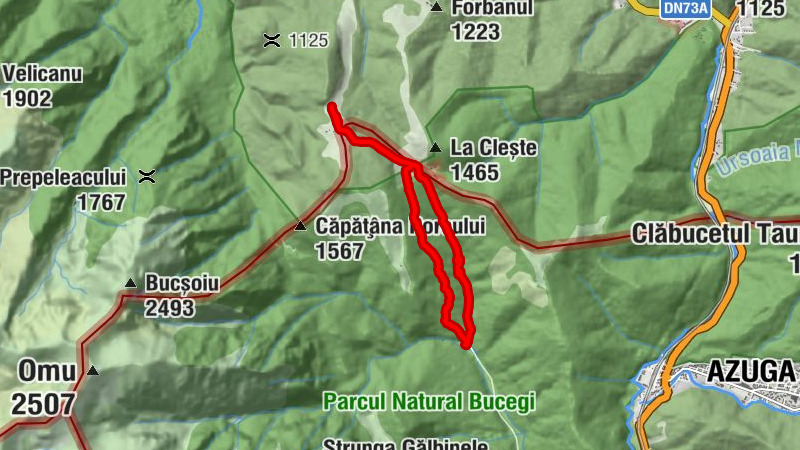 Râșnov - Șaua Baiului - Cabana Saua Diham - Cabana Diham