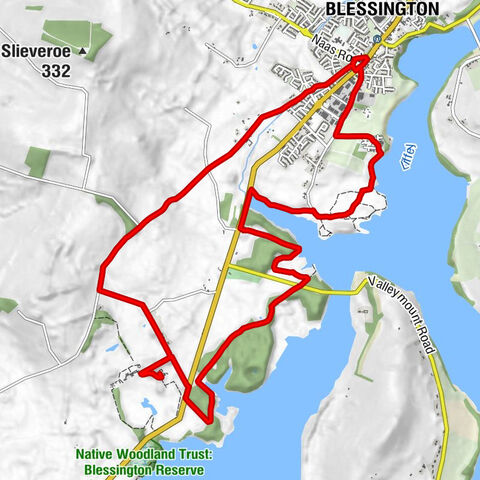 Blessington - Burgage More