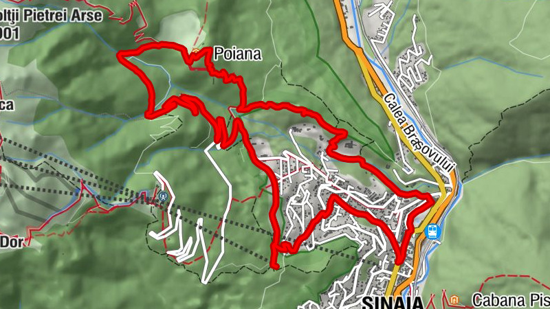 Sinaia - BIserica nouă - Sfânta Treime - Biserica veche - Adormirea Maicii Domnului - Poiana Stânii