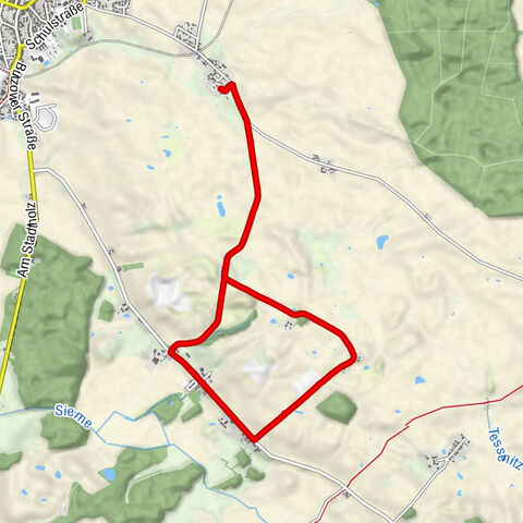 Nordic Walking Runde