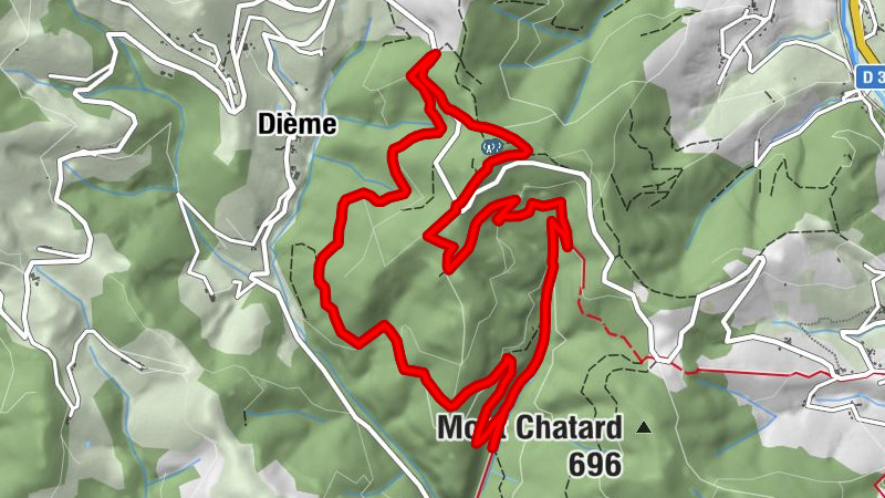 The forest of Brou - Beaujolais - Dième