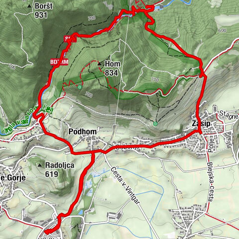 Rundweg durch die Vintgar Schlucht Bled, Slowenien