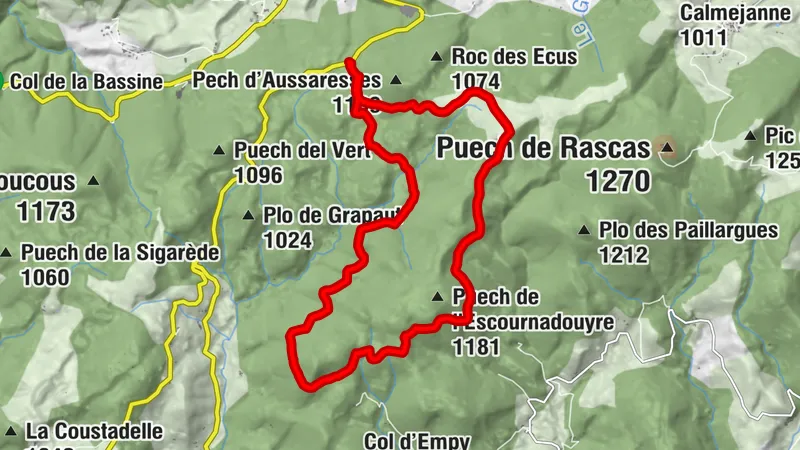 Circuito n.º 6 MTB - Sector Lacaune les Bains