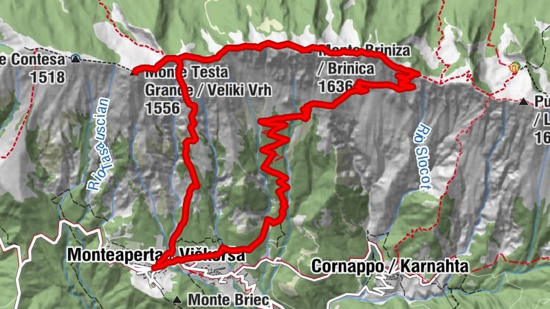 Anillo Gran Monte y Briniza