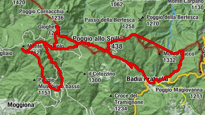 Foreste di Camaldoli e dintorni