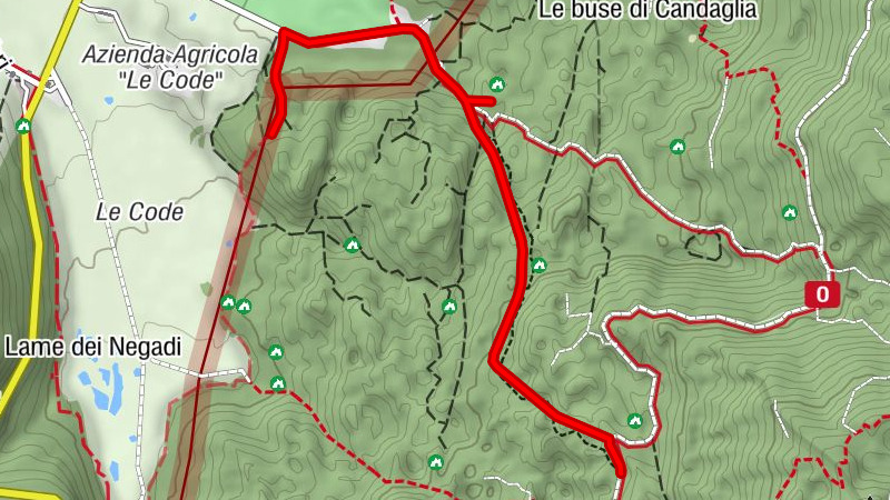 Cansiglio entre hayas, ciervos e historia