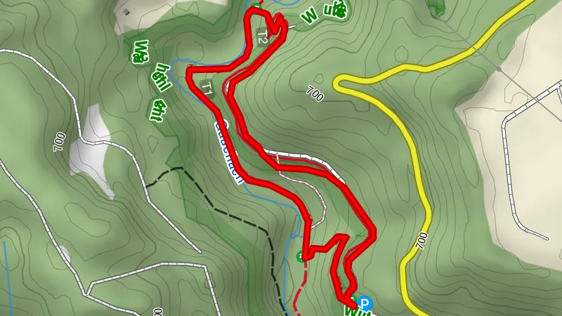Waldlehrpfad Gauchachschlucht