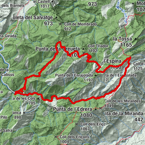 Coll d'Alfara, L'Espina i Coll de Botana des de Arnes