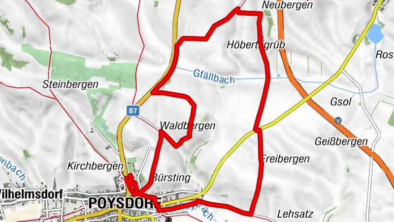Excursión a la montaña forestal