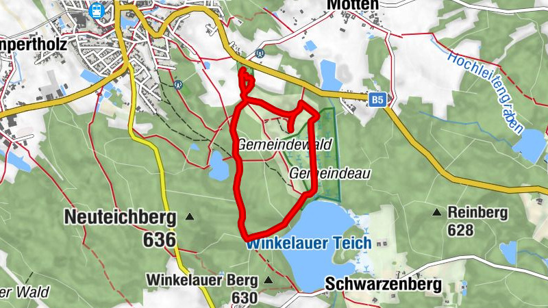 Forest path of the Heidenreichsteiner Moor Nature Park