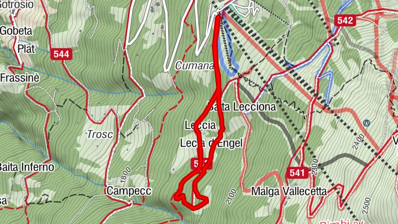 Stelvio Natural Winter Walk: Tour de Lecia