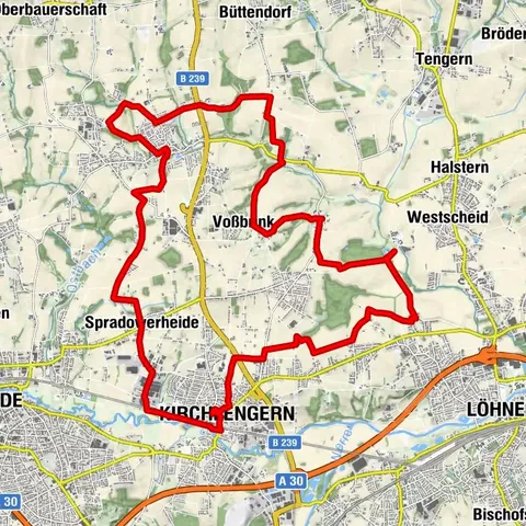 Von der Hängebuche zur Elseaue