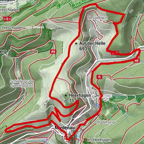 Osterglocken - Rundweg in Nordenau