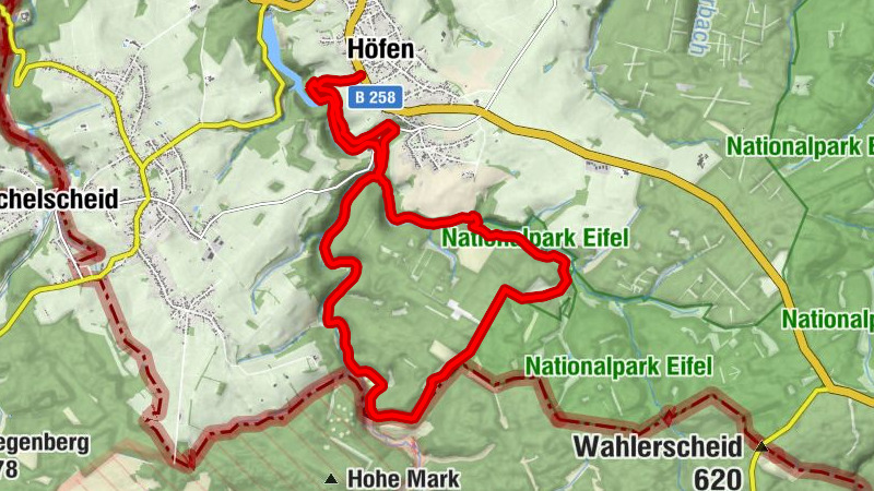 Eifelsteig Partner hike - the Daffodil Route