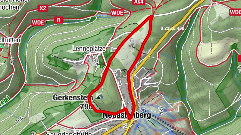 Eine „ganz natürliche“ Rallye durch Neuastenberg