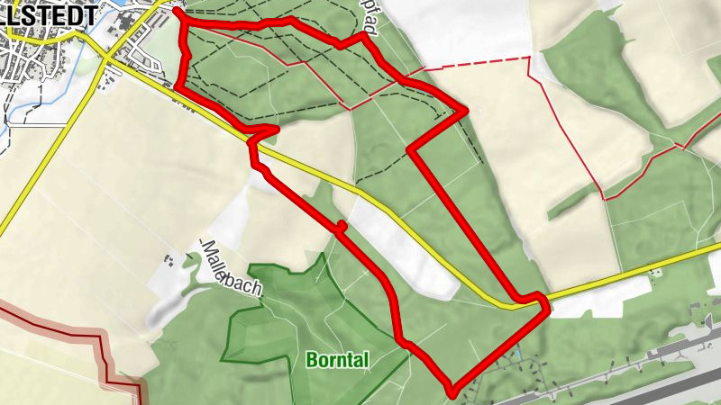Wanderung am 28. Oktober 2022