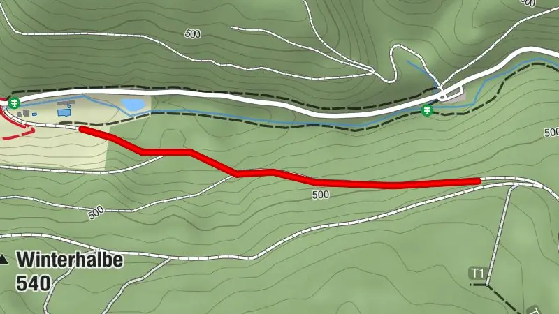 Rodelbahn im Spiegeltal - Wildemann