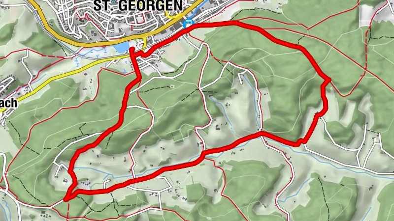 Rundweg durch den Stockwald
