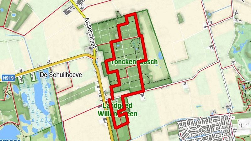 Waldspaziergang Tonckensbos