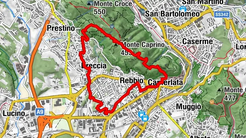 Anello Breccia Spina verde Camerlata Rebbio