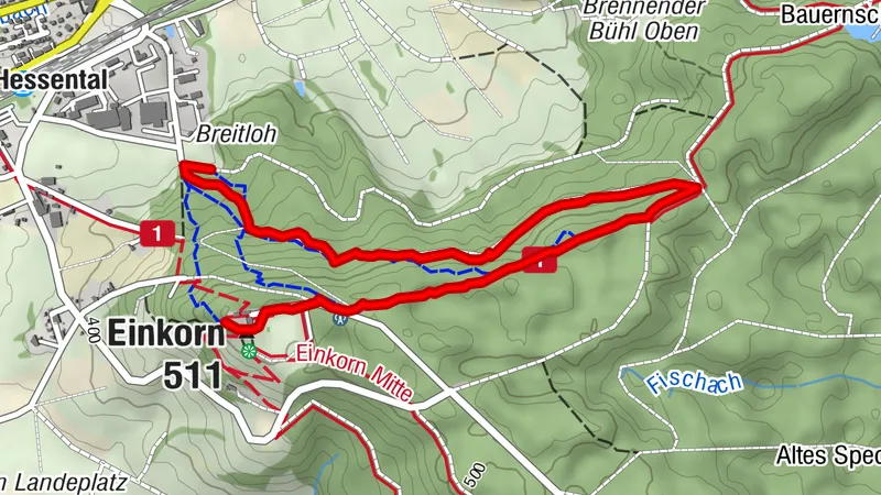 Trails of Hall - Mountainbike Trail am Einkorn - Uphill Strecke