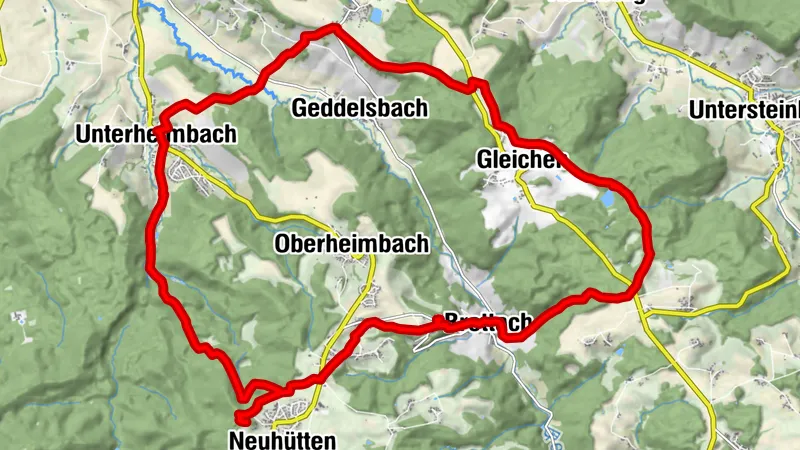 Eintauchen in den Wald