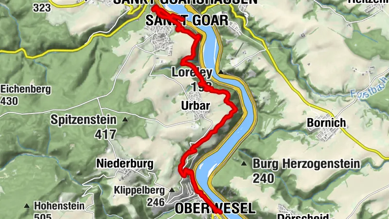 RheinBurgenWeg (10)