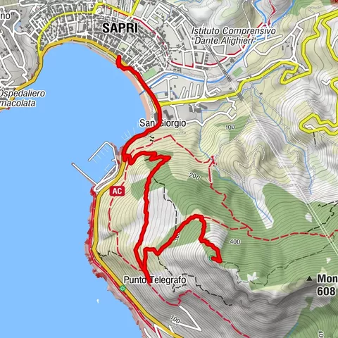 Monte Ceraso - Acqua delle Vigne, Bandiera