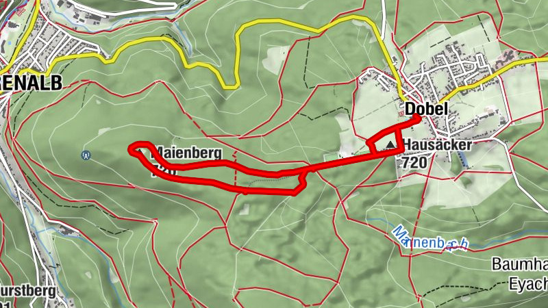 Rund um den Maienbergkopf